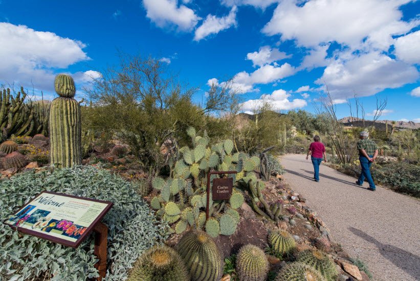 Arizona-Sonora Desert Museum, United States